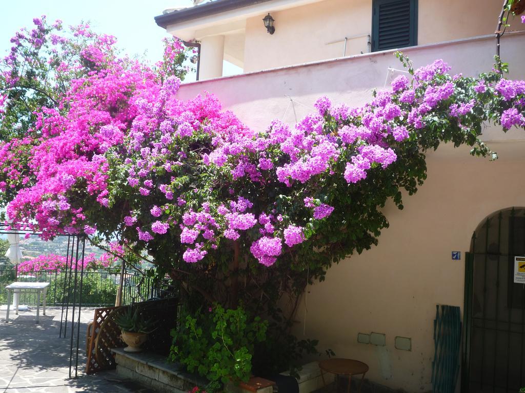 Villa Panthea Capo Vaticano Extérieur photo